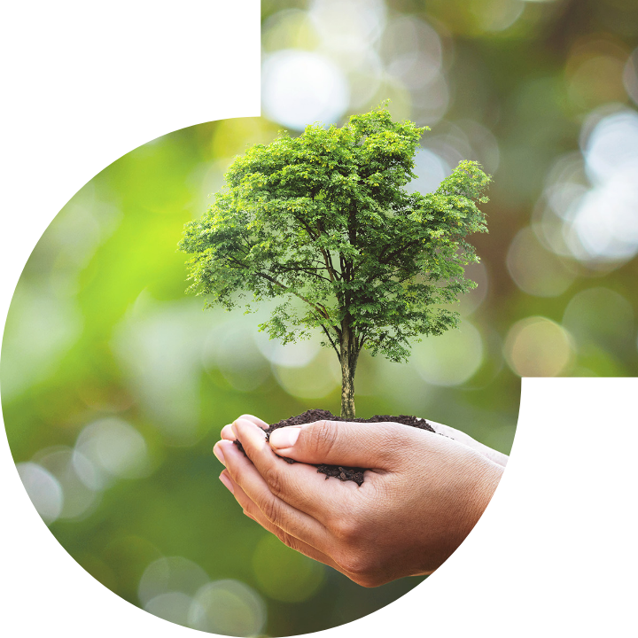 关怀人类、文化、环境与社会